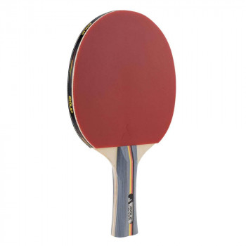 მაგიდის ჩოგბურთის ჩოგანი, Tennis racket